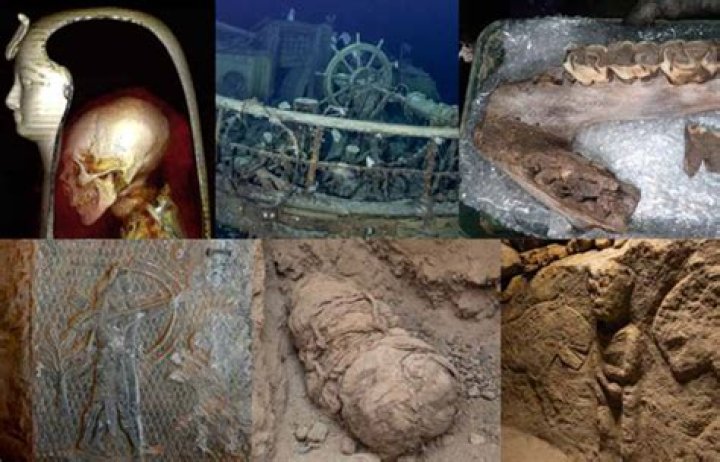 Discoveries About Margo Robbie's Mother