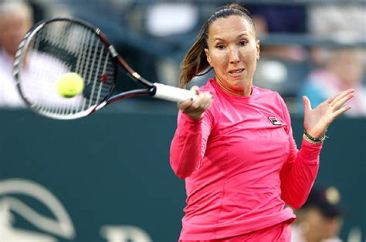 
How Much Money Does Jelena Janković Make? Latest Income Salary
