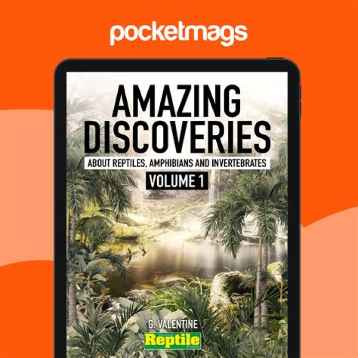 Unlock The World Of Edicion Especial: Discoveries And Insights Await